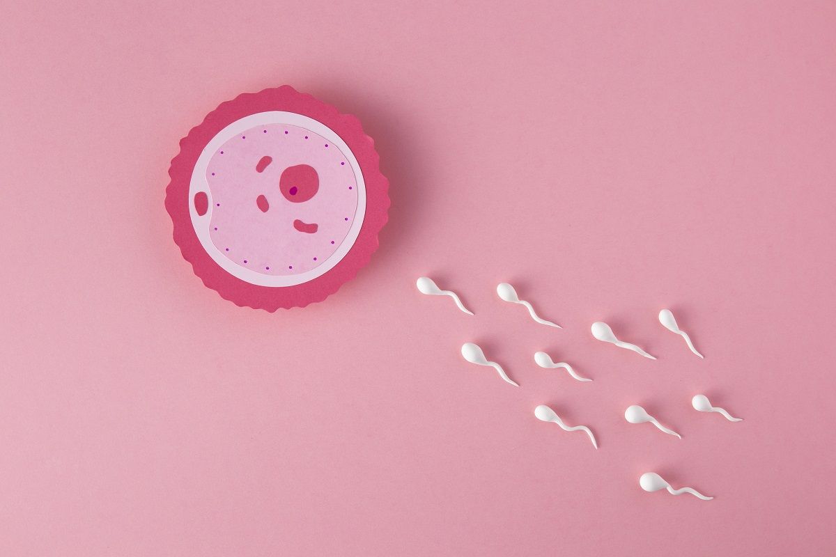 Esta tendencia ha contribuido a una disminución general de la natalidad, con una tasa de fertilidad de 1,29 hijos por mujer en España